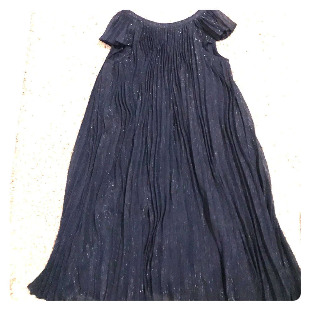 Gap Navy Pleated Dress